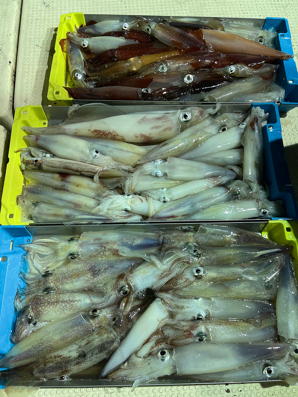 7月16日
