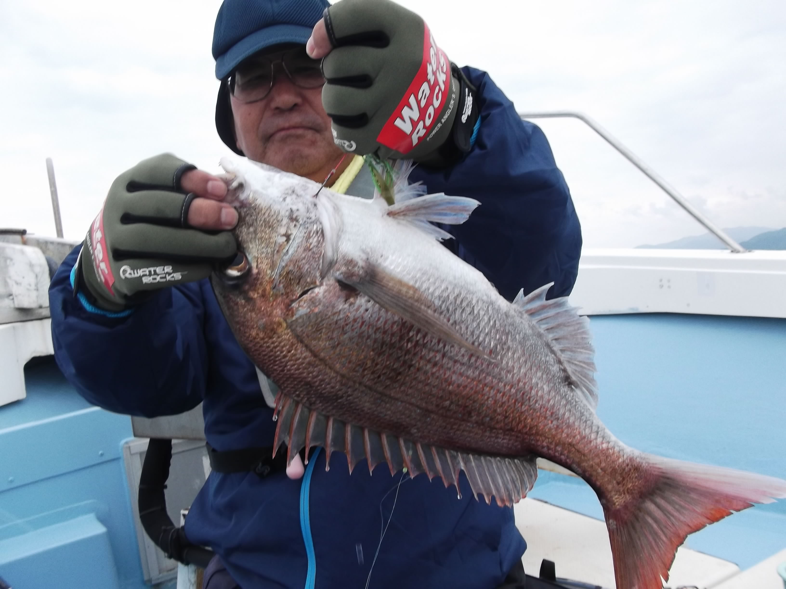 2018年05月31日 14:00 釣果情報