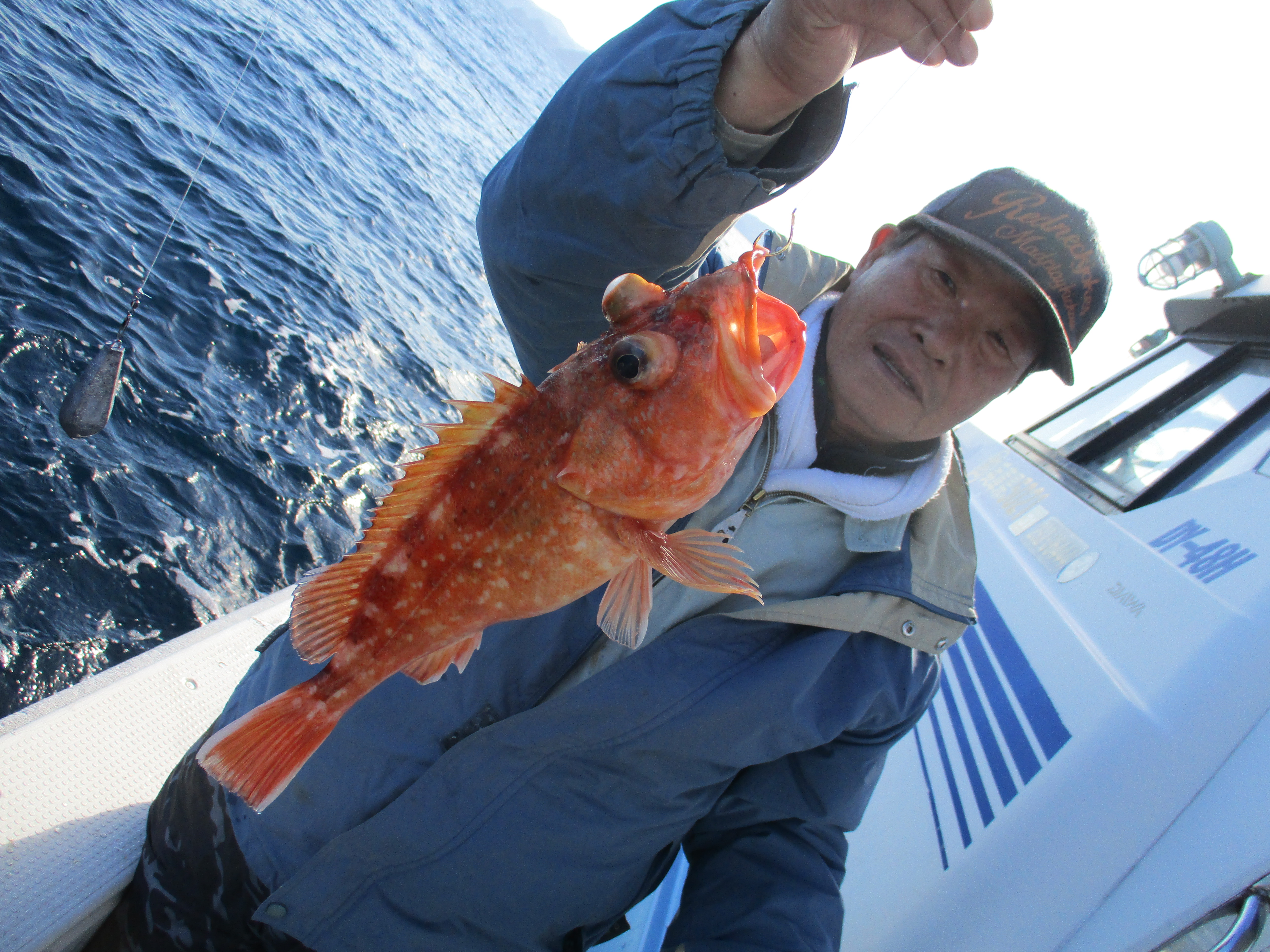 2018年05月31日 14:00 釣果情報