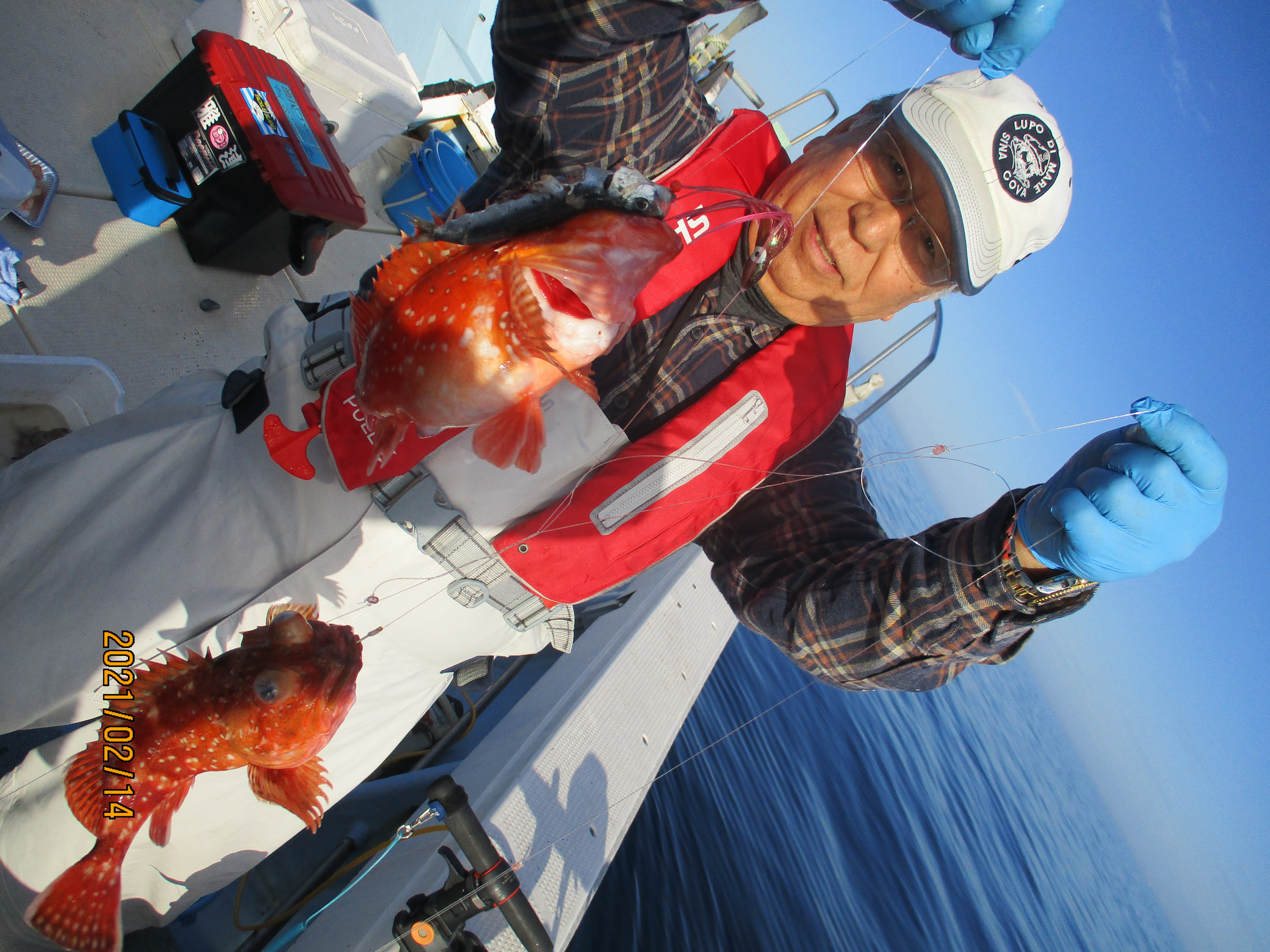 2020年3月13日 釣果情報