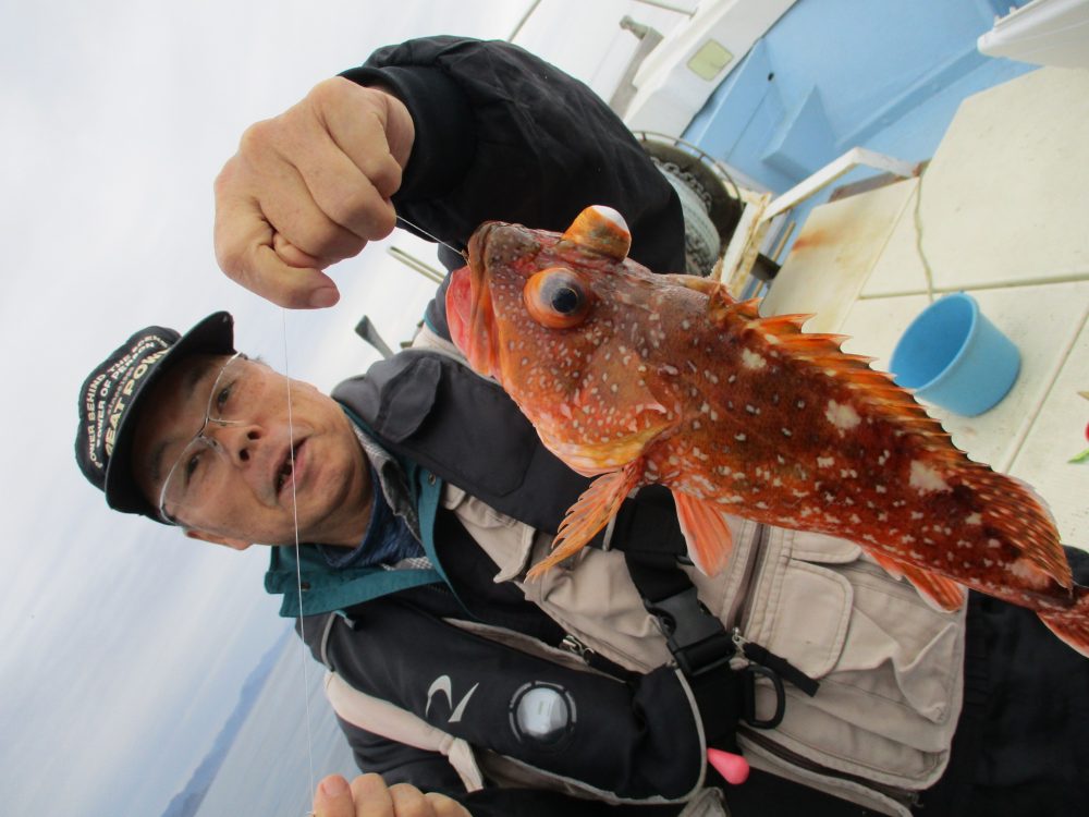 2020年3月13日 釣果情報