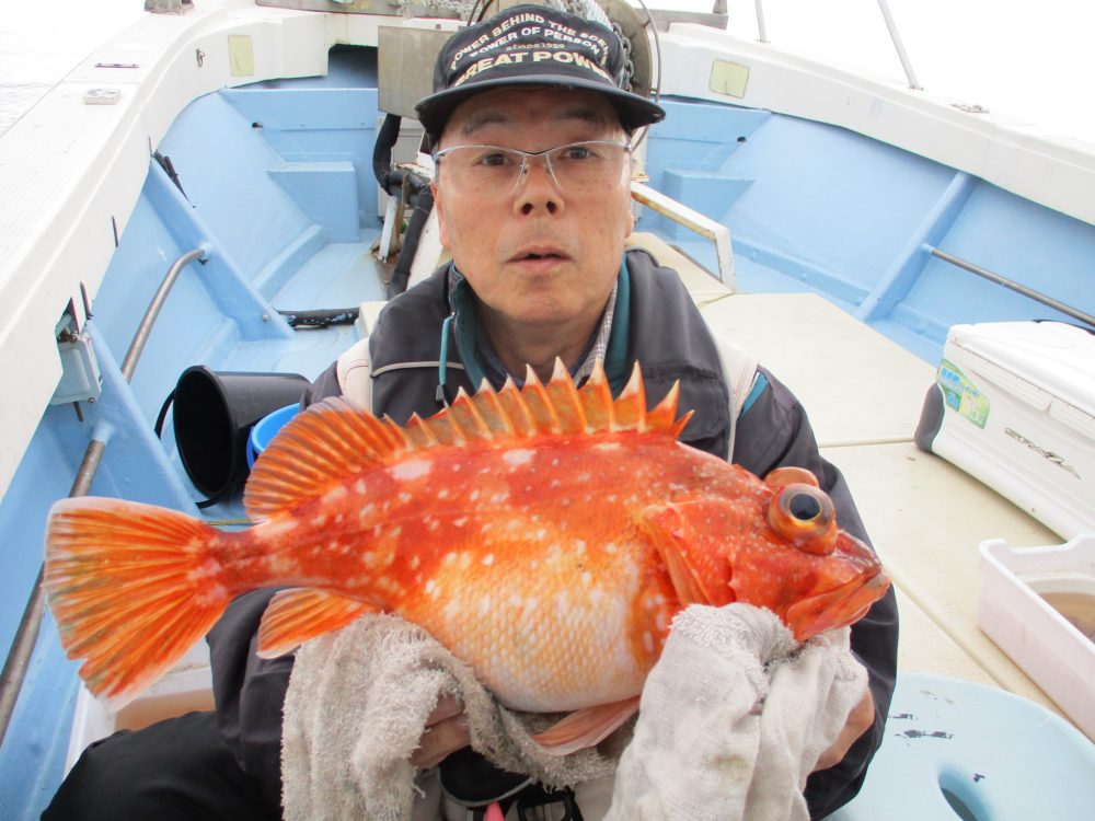 2020年3月13日 釣果情報