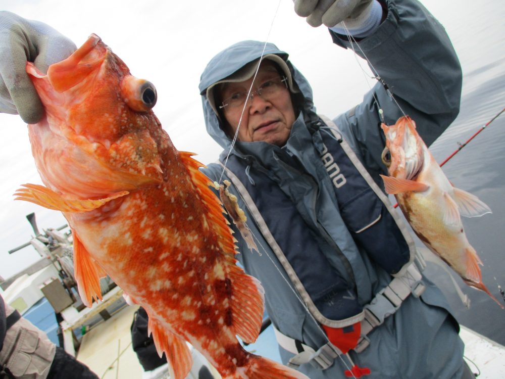 2020年3月13日 釣果情報